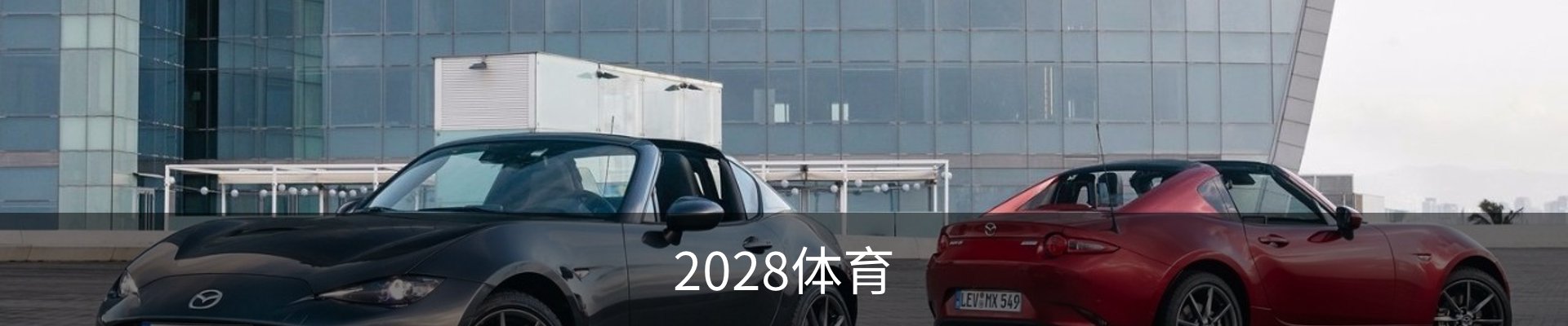 2028体育